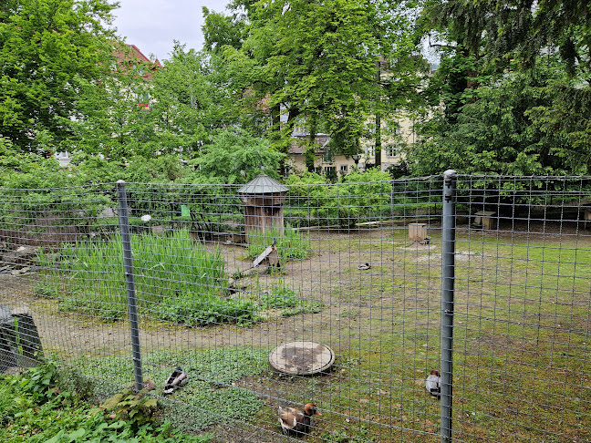 Opinii despre Café-Restaurant Park în St. Gallen - Gastronomie und Hotellerie