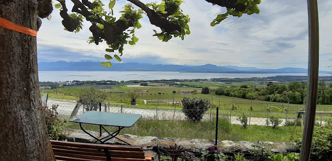 Opinii despre Mr. Daniel Bovy în Gilly - Gastronomie und Hotellerie