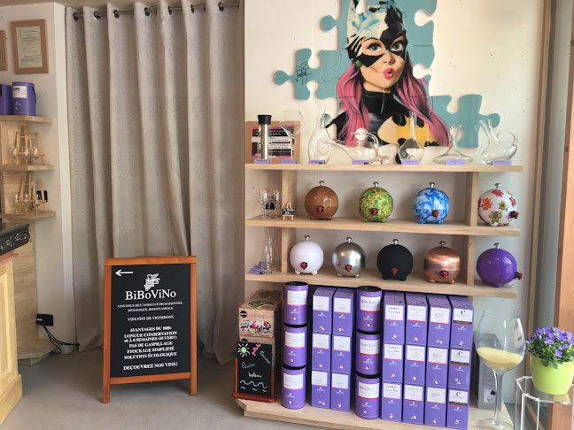 Comentarii opinii despre BiBoViNo Bag-inBox, Cubi au Flon, Shop Online