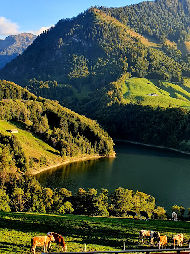 Hôtel - Restaurants Le Vieux Chalet Charmey - Crésuz - Crésuz