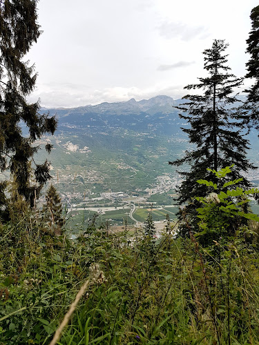 Restaurant Ile Falcon - Gastronomie und Hotellerie