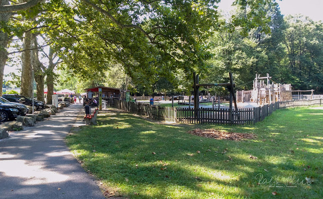 Comentarii opinii despre Snack Bar Parsifal