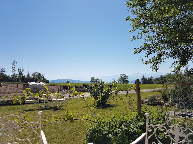 Mädikon 2, 8143 Stallikon