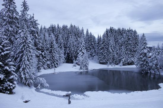 Comentarii opinii despre Hôtel Auberge du Lac-des- Joncs