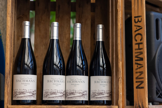 Schönau Sommerbar - Gastronomie und Hotellerie