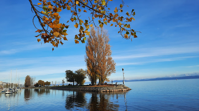 Croquignolet - Gastronomie und Hotellerie