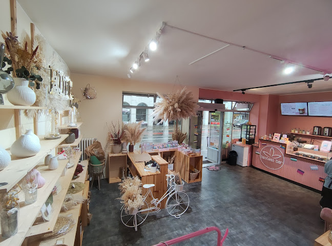 Strassburgstrasse 15, 8004 Zürich