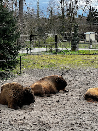 Opinii despre PARK Lange Erlen în Basel - Gastronomie und Hotellerie