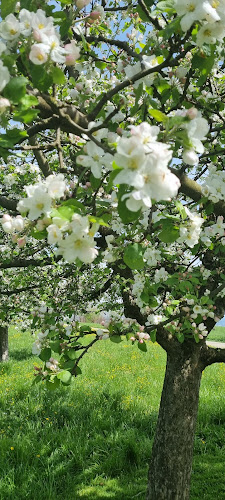 Comentarii opinii despre HofCafe