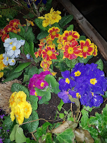 Comentarii opinii despre Beste Bella Vita Pizzeria Aesch