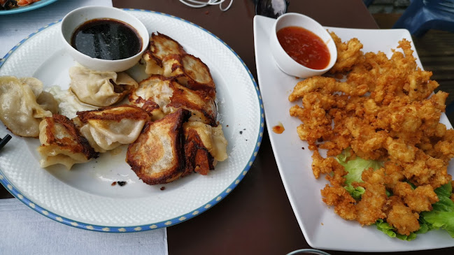 Restaurant Henan 河南人家