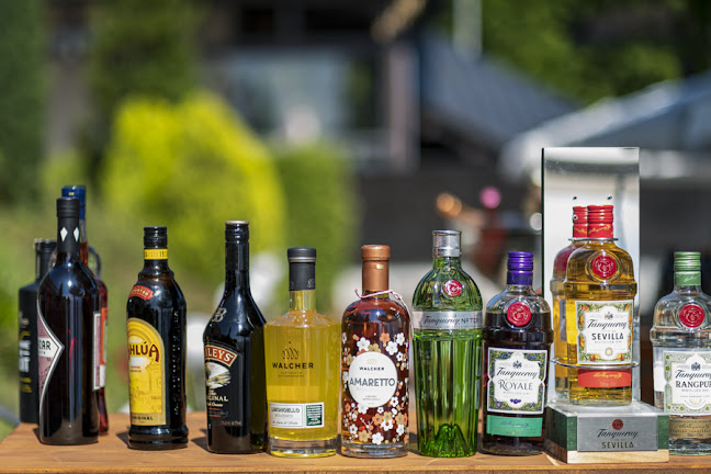 Opinii despre Restaurant Le Chalet du Mont-Pèlerin în Chardonne - Gastronomie und Hotellerie