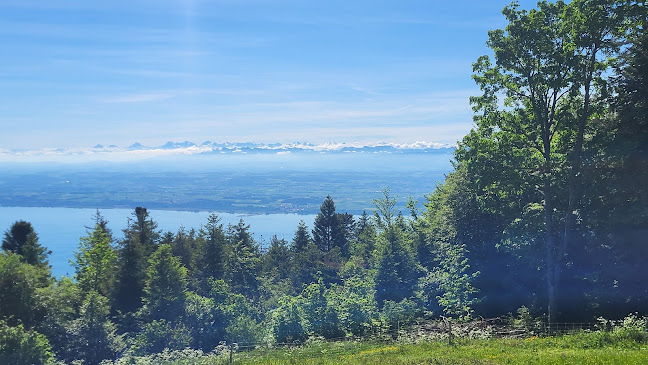 Fruitière de Bevaix - Gastronomie und Hotellerie