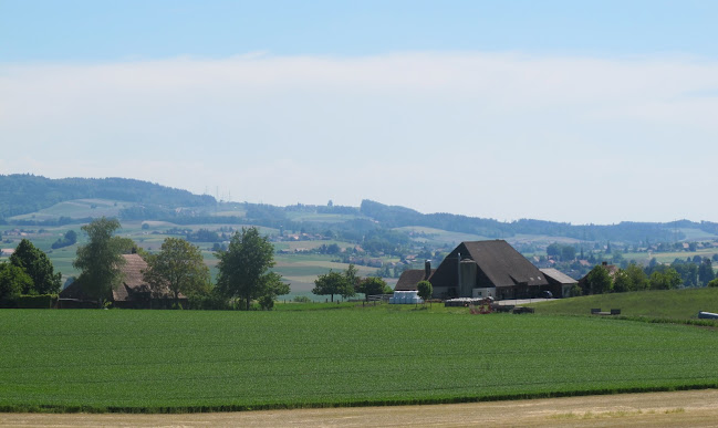 Opinii despre Feld6 în Grossaffoltern - Gastronomie und Hotellerie