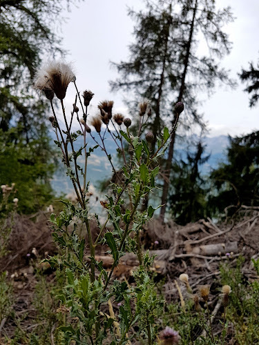 Rue de l'Ile Falcon 10, 3960 Sierre