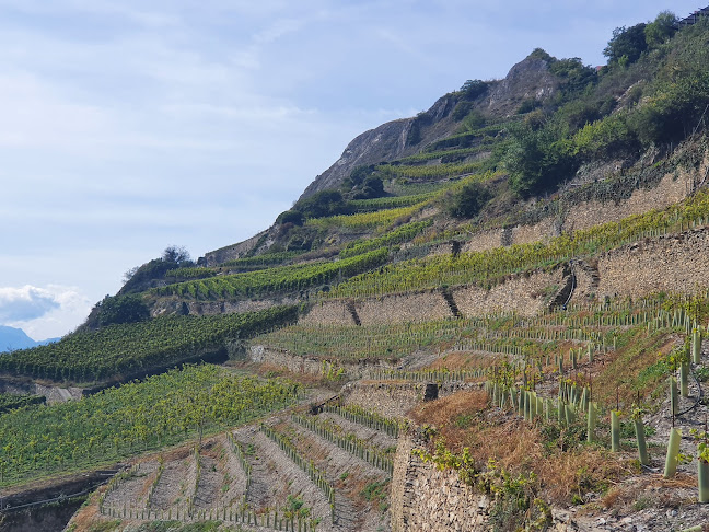 Comentarii opinii despre Le Cube