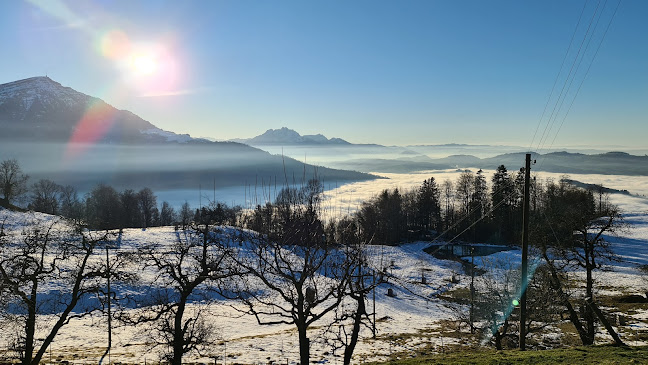 Opinii despre Hirschenhof Marco & Viola în Walchwil - Gastronomie und Hotellerie