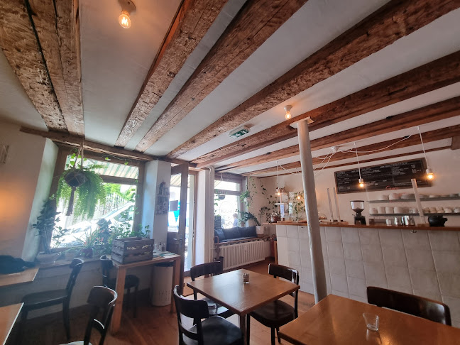 Comentarii opinii despre Spoon GmbH