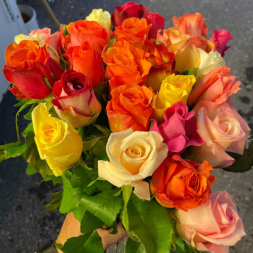 Untereggistrasse 10, 6353 Weggis