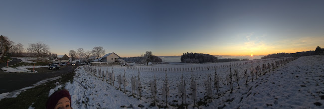 Wirtschaft Stelzenhof AG - Weinfelden