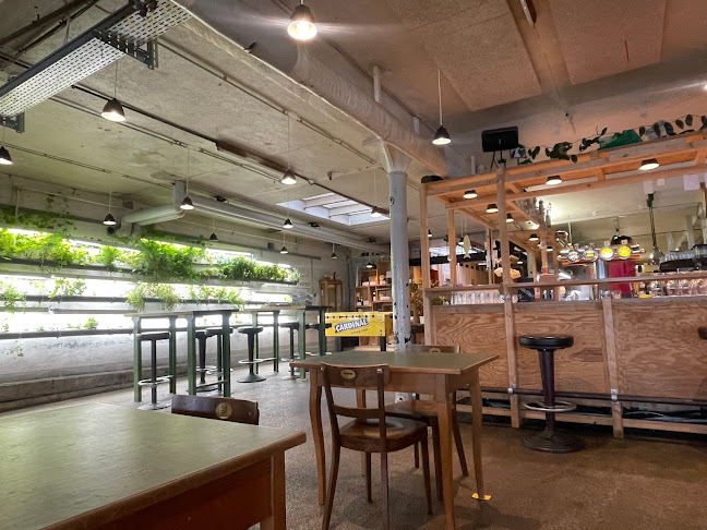 Pouponne & Loulette, torréfaction artisanale de café - Fribourg