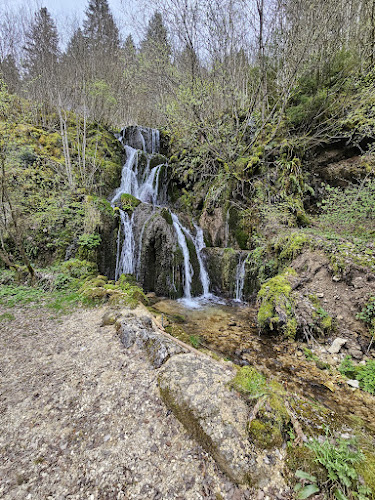 Restaurant du Theusseret - Gastronomie und Hotellerie
