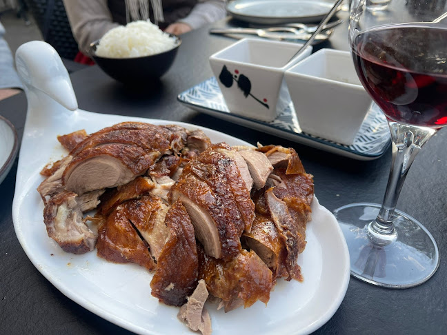 Comentarii opinii despre Le Canard Intelligent