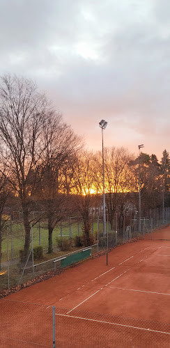 Comentarii opinii despre 11'ER Sportfreunde Stuttgart