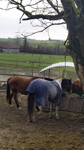 Chez Zaza - Gastronomie und Hotellerie