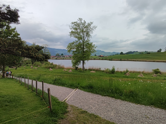 Erlebnisland Grizzlybär - Forst-Längenbühl