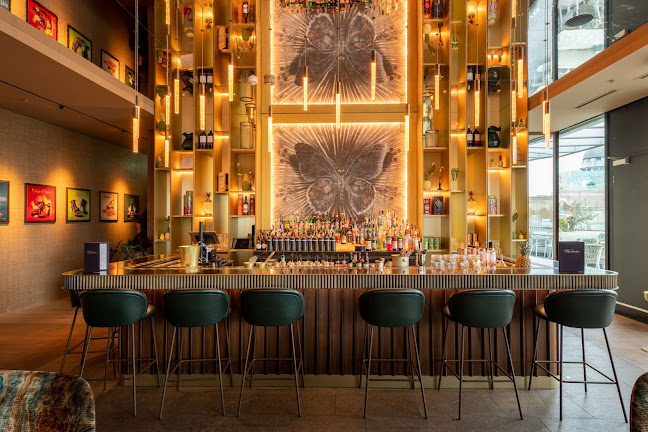 Comentarii opinii despre Roof Garden