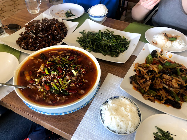 Comentarii opinii despre Restaurant Henan 河南人家