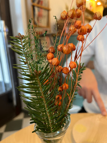 Comentarii opinii despre Mikado