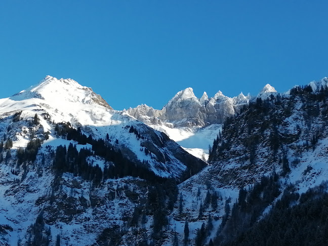 Comentarii opinii despre Hotel Elmer