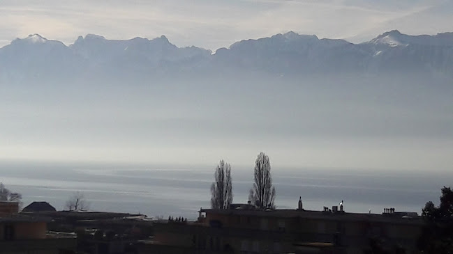 MC's Consulting Sàrl