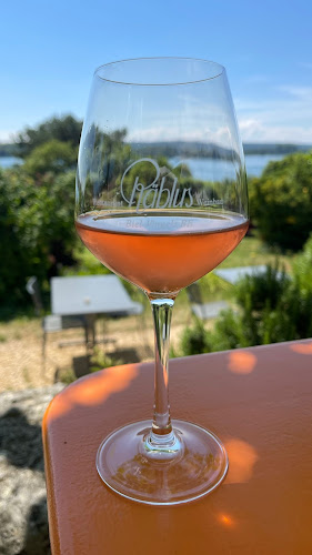 Opinii despre Restaurant Räblus în Biel - Gastronomie und Hotellerie