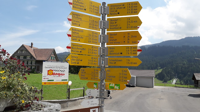 Comentarii opinii despre Toggi Wald