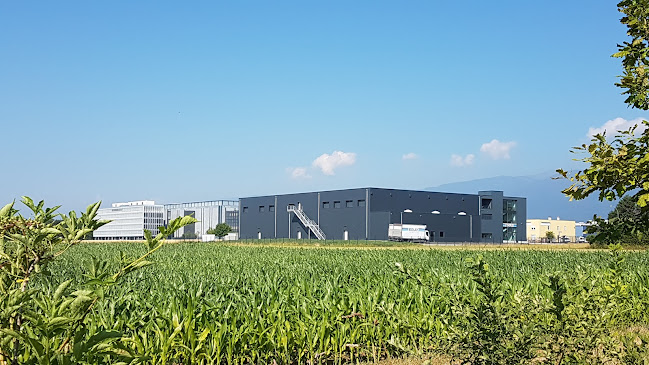 Comentarii opinii despre Bolay SA