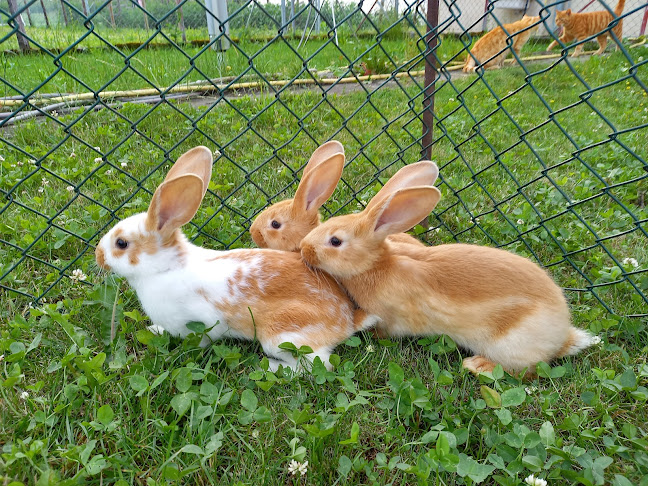 Hofladen Familie Landolt Unterau - Gastronomie und Hotellerie