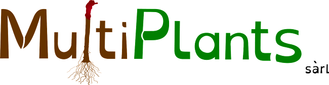 Multiplants Sàrl - Gastronomie und Hotellerie