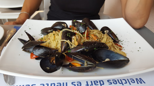 Comentarii opinii despre Tricolore