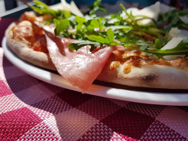 Comentarii opinii despre Steg 4