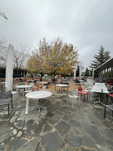 Comentarii opinii despre CERN Restaurant 1