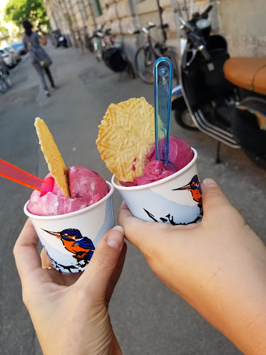 Comentarii opinii despre EISVOGEL ZENTRALE FÜR GUTES