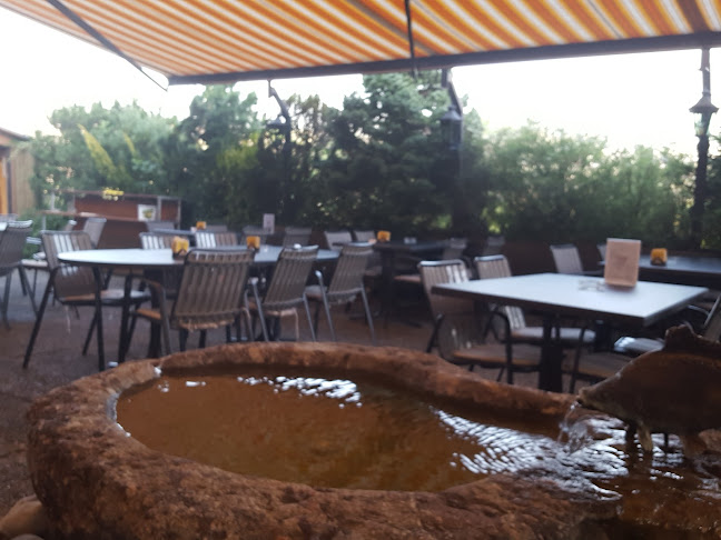 Opinii despre Landgasthaus Strauss în Meierskappel - Gastronomie und Hotellerie