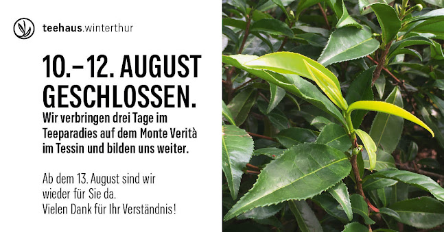 Comentarii opinii despre Teehaus Winterthur