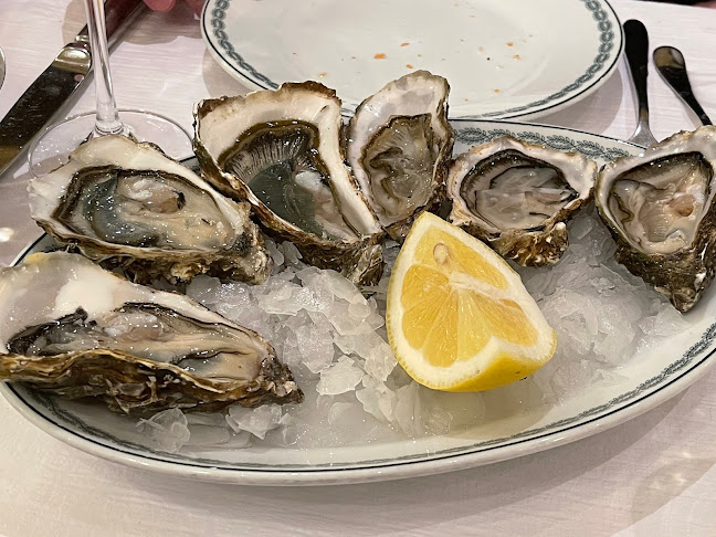 Jules Verne Panoramabar