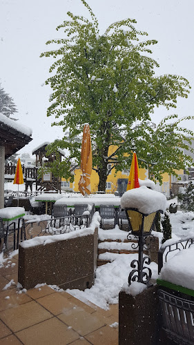 Comentarii opinii despre Landgasthof Adler