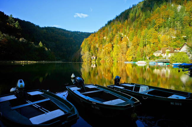 Comentarii opinii despre Le Caprice Buvette à Maison-Monsieur