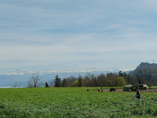 Mädikon 2, 8143 Stallikon